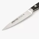 Hámozó kés - Classic Pro - 10 cm
