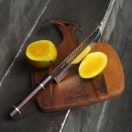 FISSMAN KENSEI BOKUDEN 7" Japán Nakiri Kés - 18cm