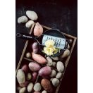 Microplane Gourmet Extra Durva Reszelő